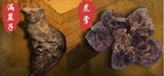 李时珍与江湖医生