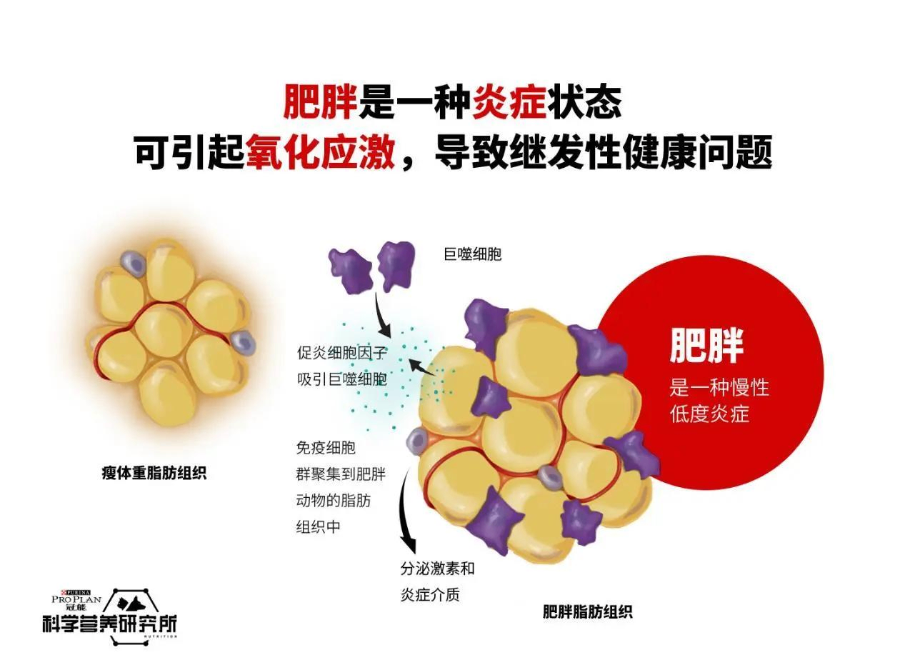 图片1(1)